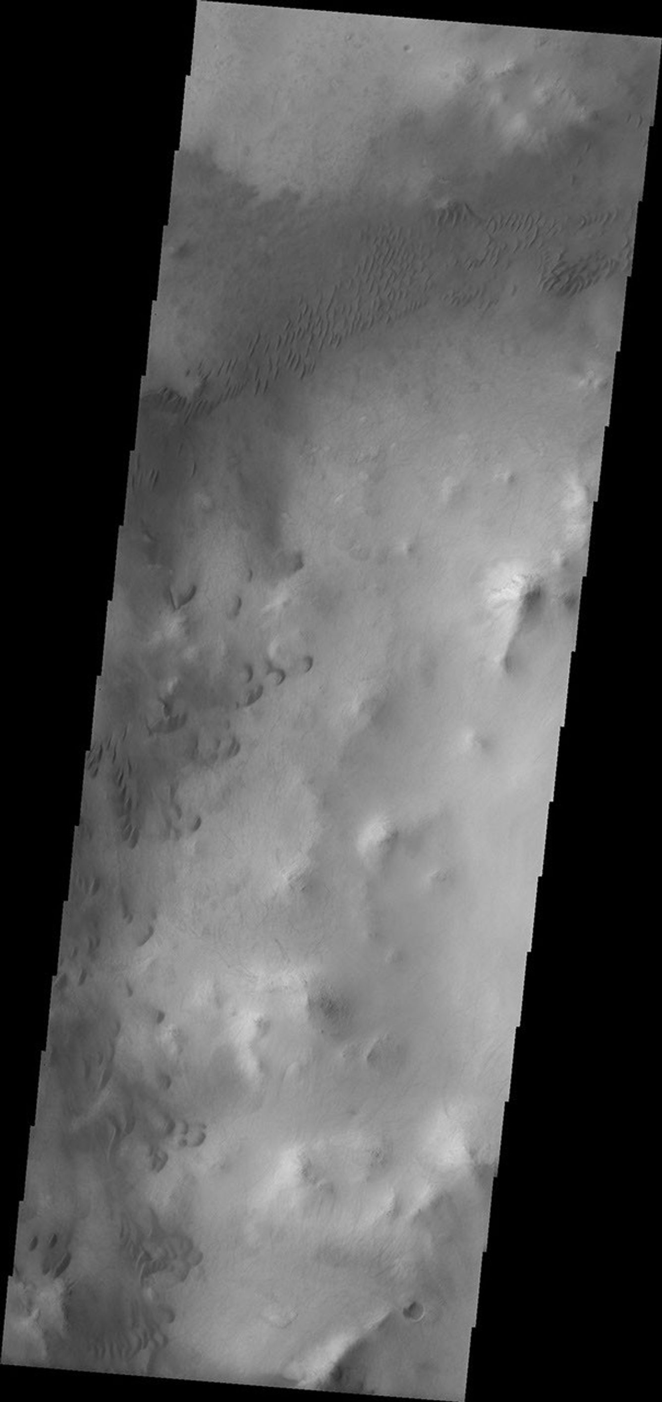 This image from NASA's Mars Odyssey spacecraft shows the western floor of Liu Hsin Crater containing many, small, isolated dark dunes on Mars.
