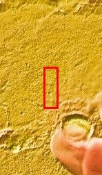 Context image for PIA10157 Polar Outliers