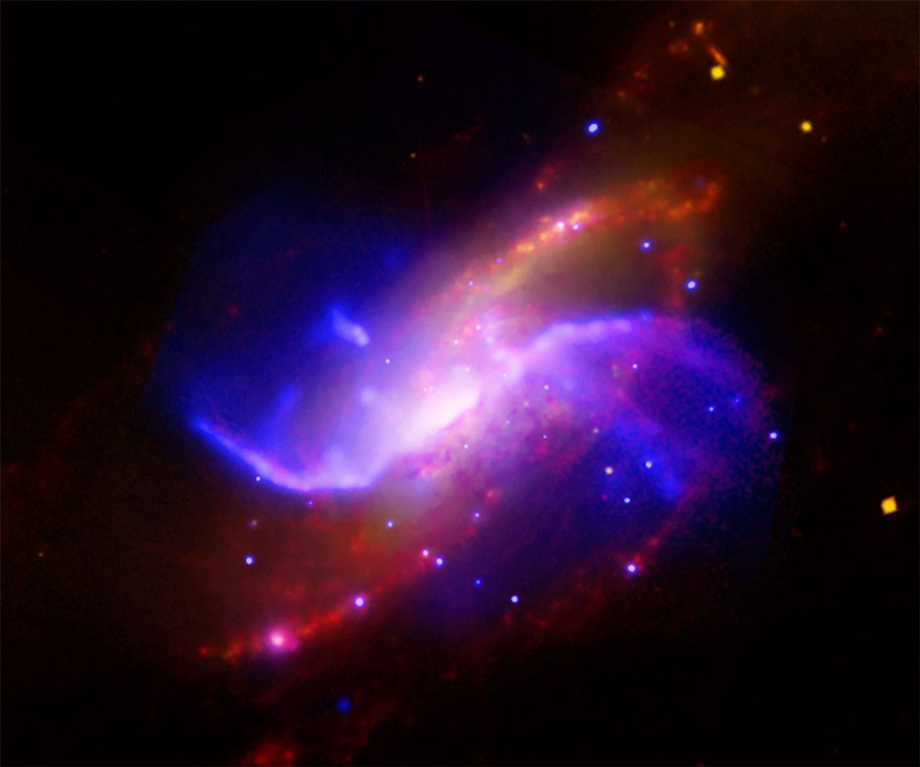 This composite image is of spiral galaxy M106 (NGC 4258); optical data from the Digitized Sky Survey is yellow, radio data from the Very Large Array is purple, X-ray data from Chandra is blue, and infrared data from the Spitzer Space Telescope is red.