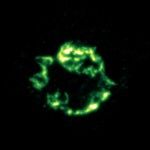 figure 3 for PIA10206 Argon Figure 3