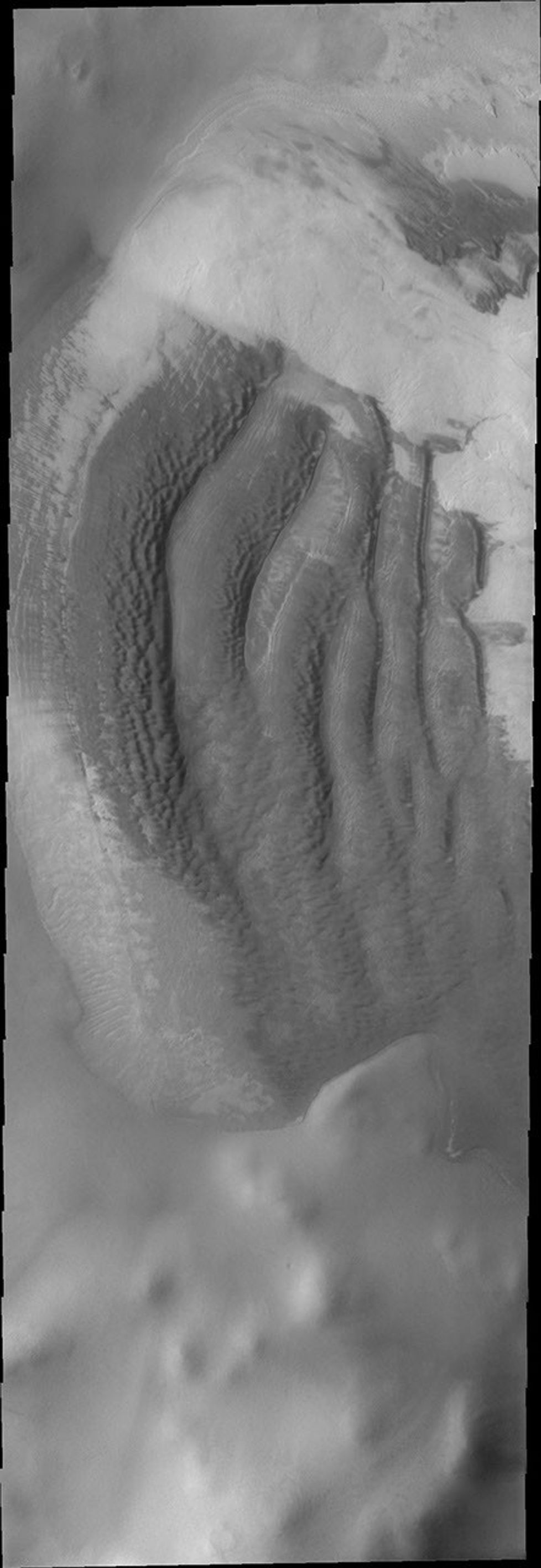 This image from NASA's Mars Odyssey shows interesting dune forms on Mars located on the margin of remnant polar deposits on the floor of Reynolds Crater.