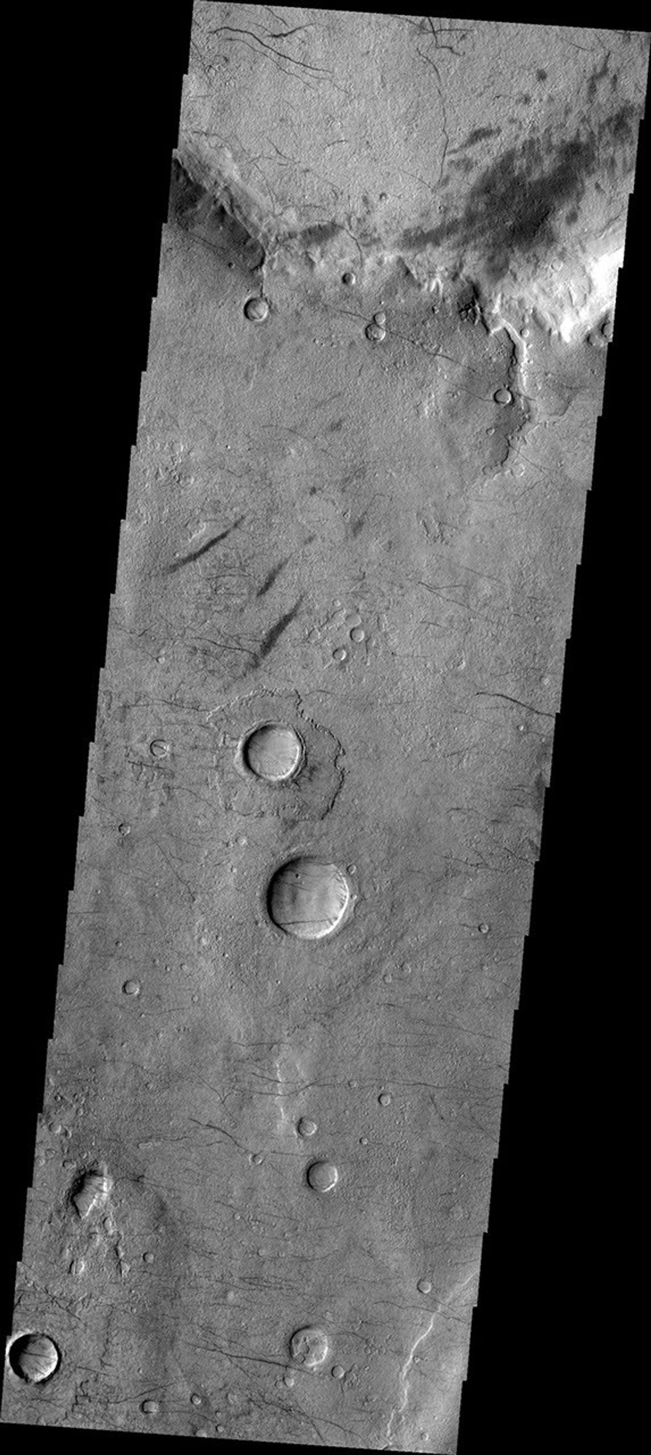 This image from NASA's Mars Odyssey shows dust devil tracks located in Noachis Terra.