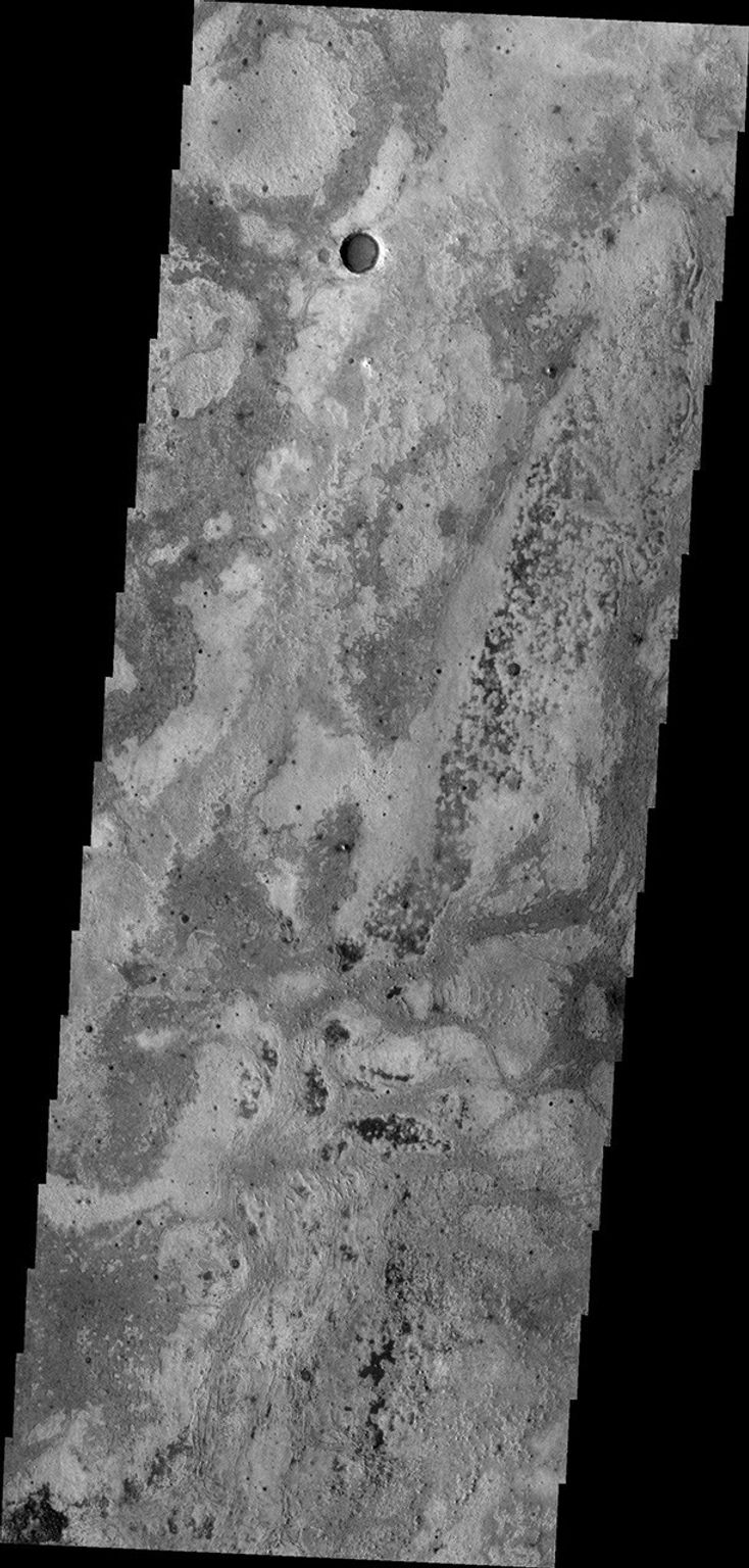 This image from NASA's Mars Odyssey shows part of the Meridiani Terra region.