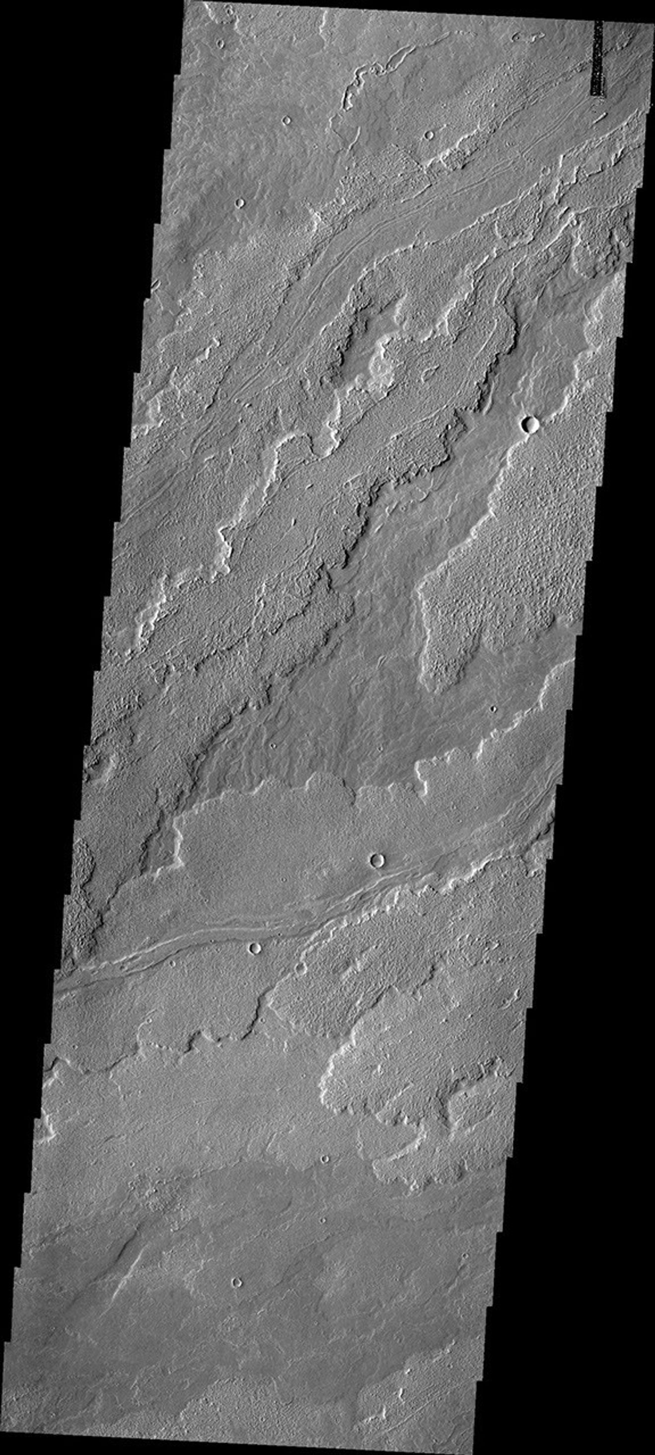This image from NASA's Mars Odyssey shows lava flows originating at Arsia Mons, one of the large Tharsis volcanoes on Mars.