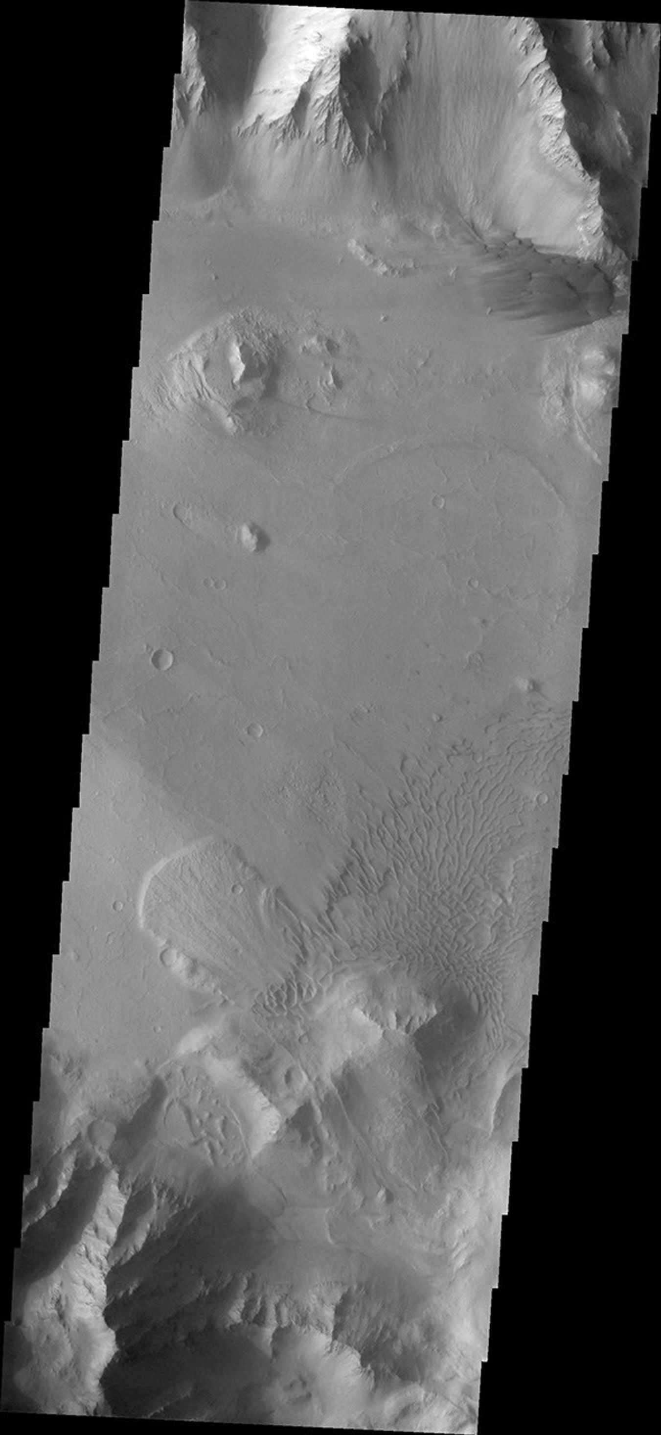 This image from NASA's Mars Odyssey shows Coprates Chasma on Mars containing a landslide deposit and multiple dunes.