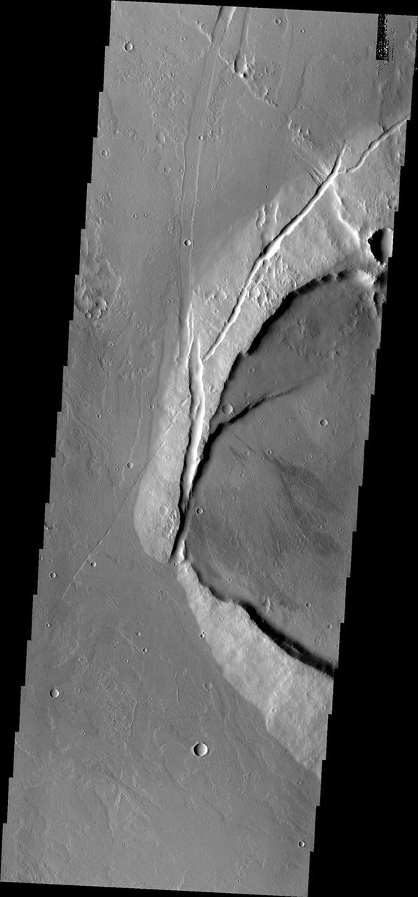 This image from NASA's Mars Odyssey shows Jovis Tholus, a small volcano in the Tharsis region of Mars. The western part of the volcano has collapsed.
