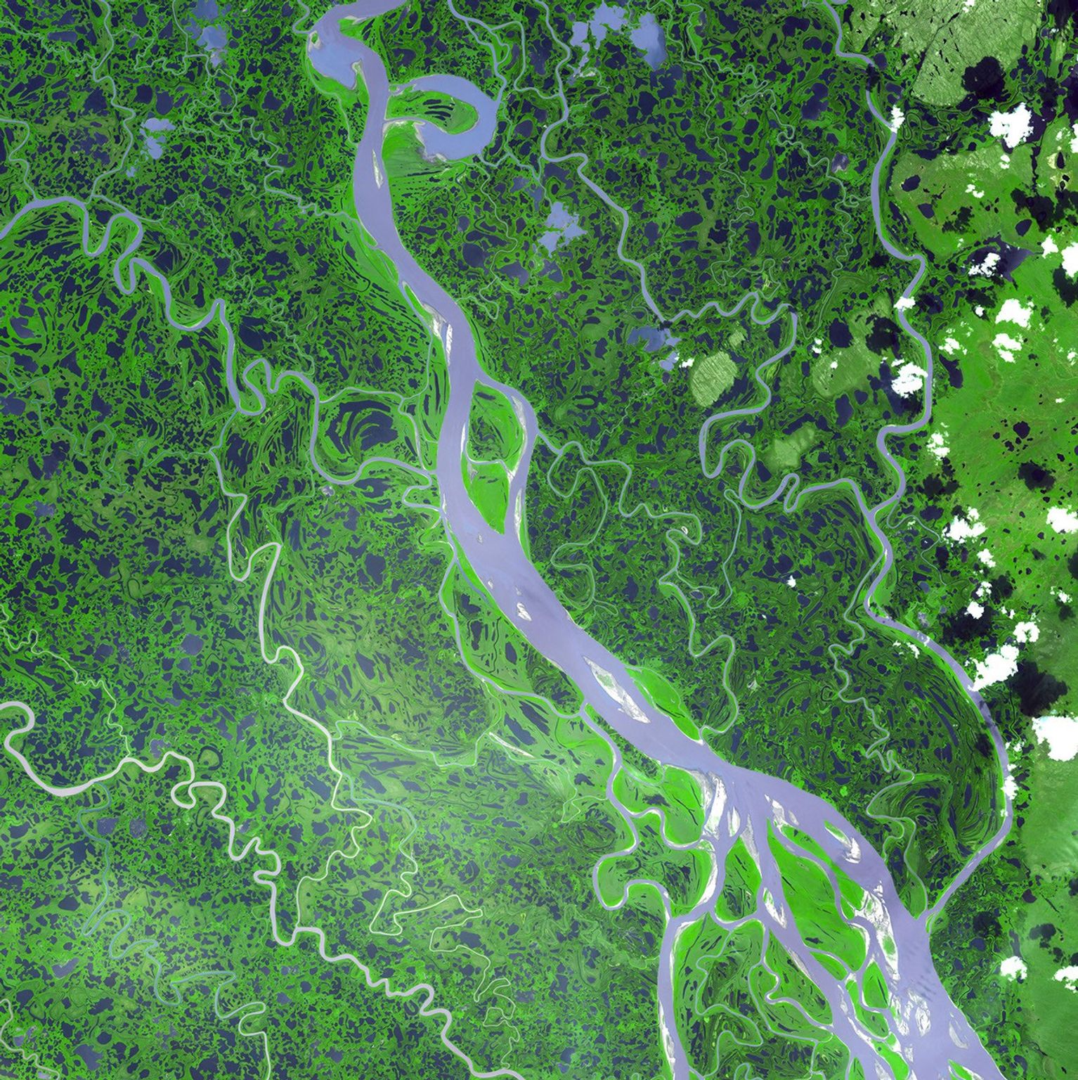 The Mackenzie River in the Northwest Territories, Canada, with its headstreams the Peace and Finley, is the longest river in North America. This image was acquired by NASA's Terra satellite on August 4, 2005.
