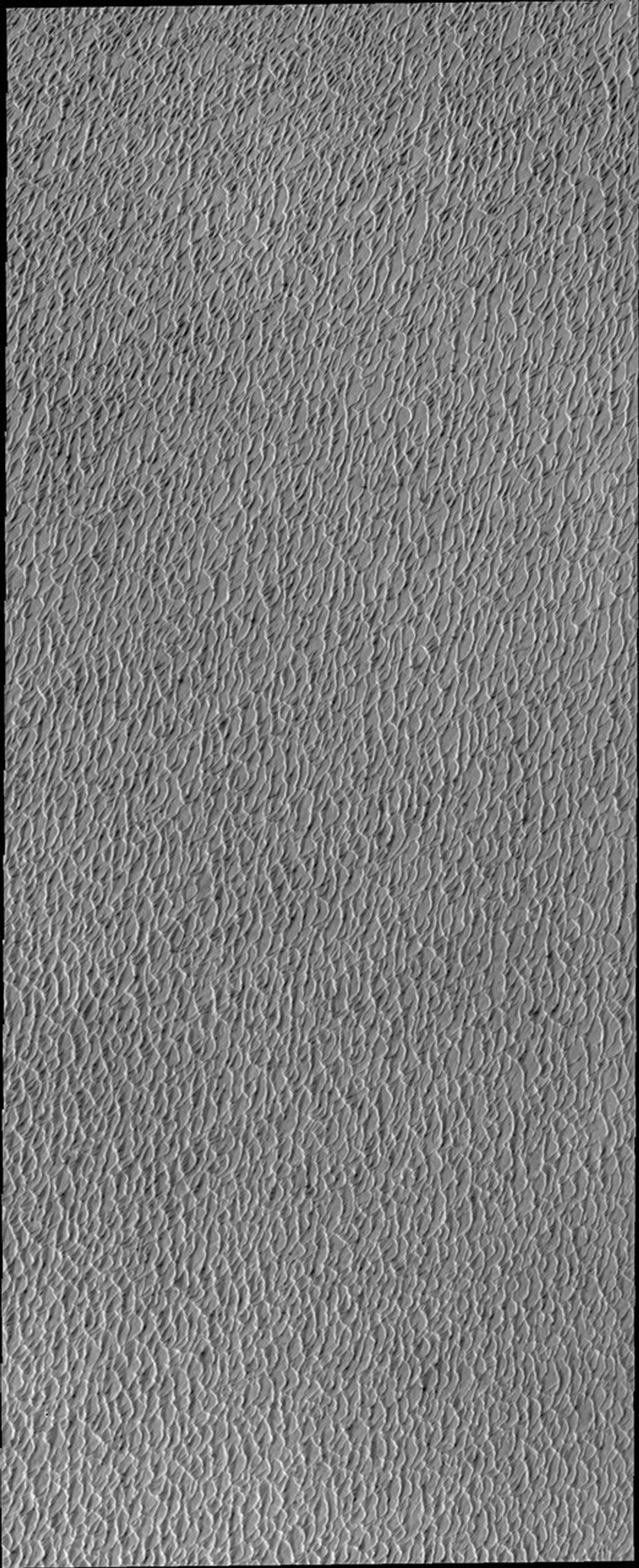 This image from NASA's Mars Odyssey shows a small portion of the north polar sand sea, an immense region of sand dunes on Mars. The dunes are just starting to shed their winter frost.