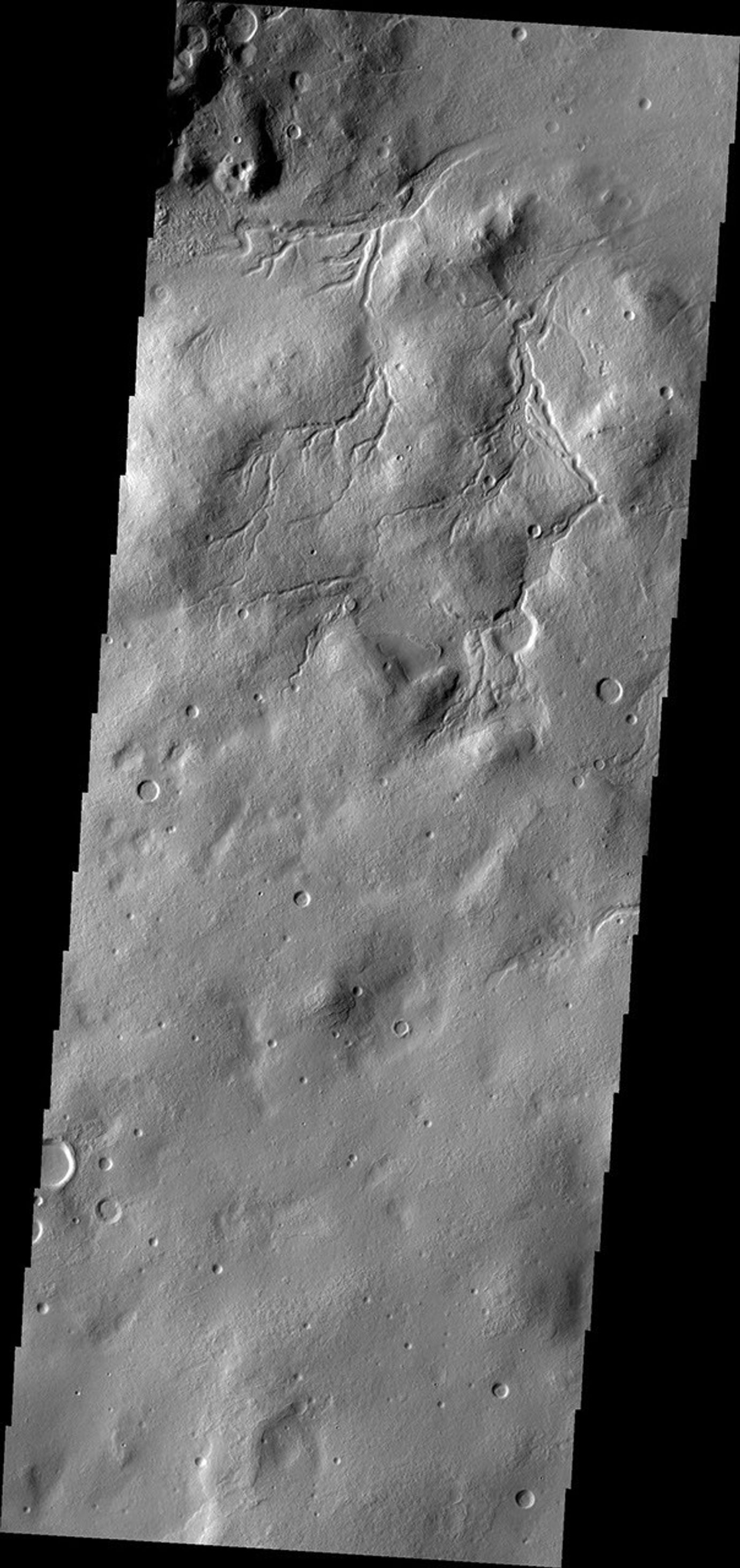 This image from NASA's Mars Odyssey shows channels draining towards Moreux Crater.