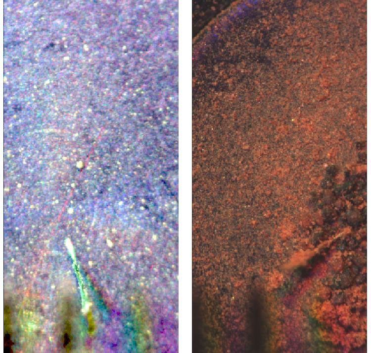 These images show a comparison of the weak magnet OM7 from the Optical Microscope on NASA's Phoenix Mars Lander before (left) and after (right) soil deposition.