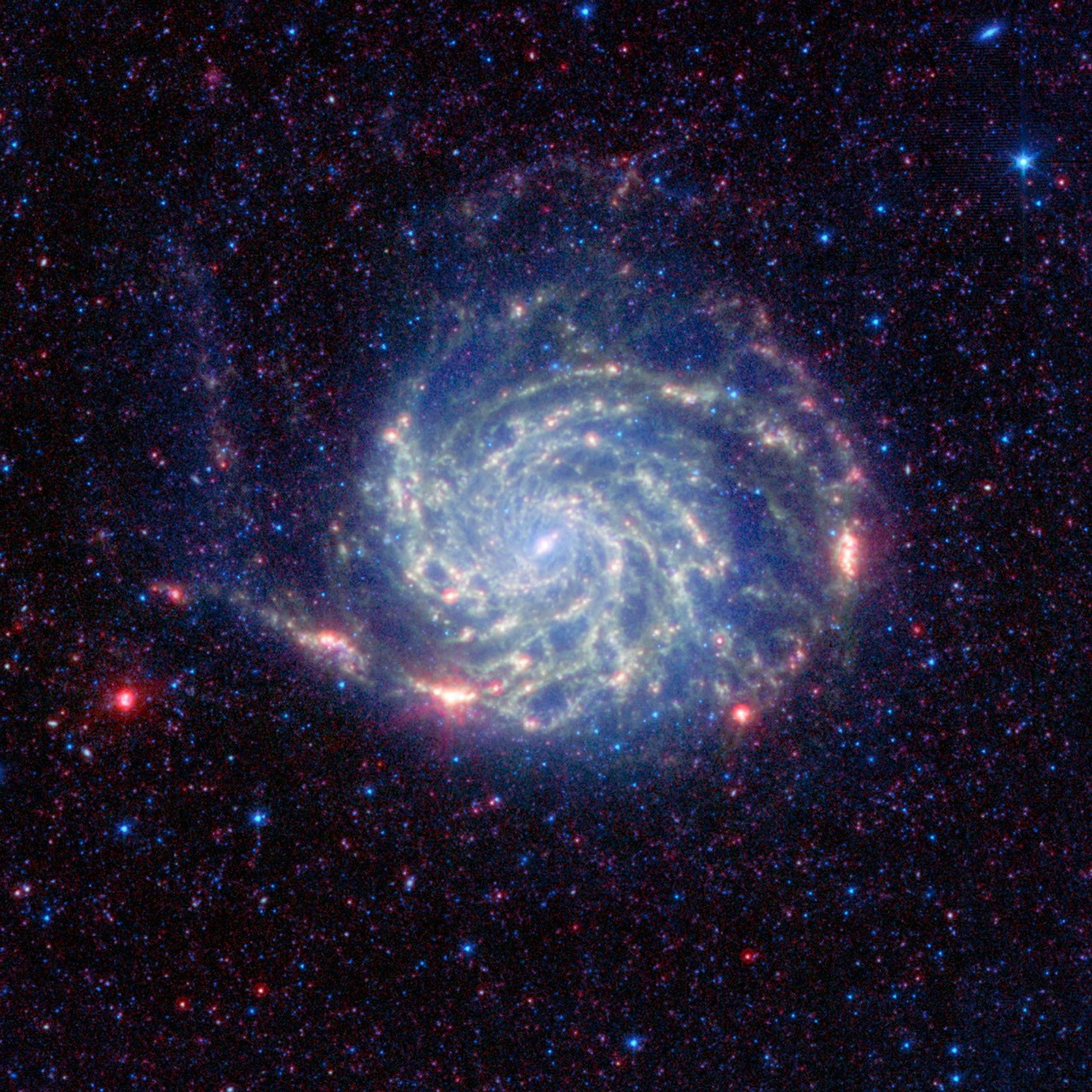 The Pinwheel galaxy, otherwise known as Messier 101, sports bright reddish edges in this new infrared image from NASA's Spitzer Space Telescope.
