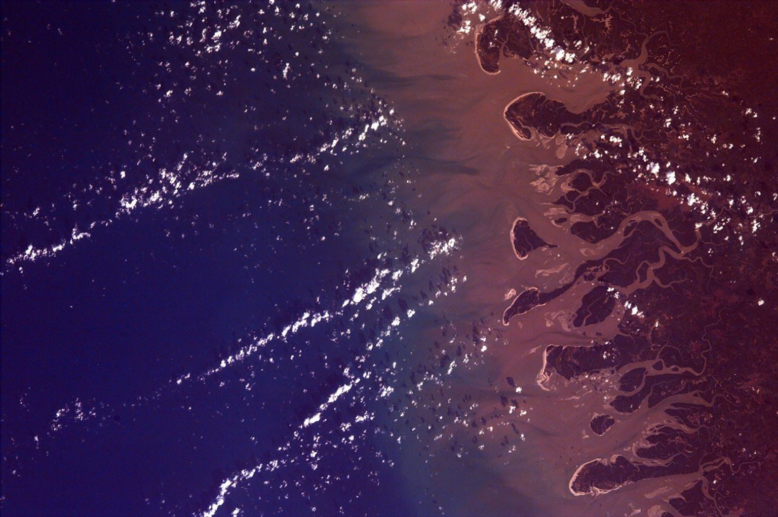 This is an image from NASA's EarthKAM of the Rio Gurupi in the Brazilian state of Maranhao and its delta. It is the only open sea delta in the Americas and has more than 70 islands of various sizes.