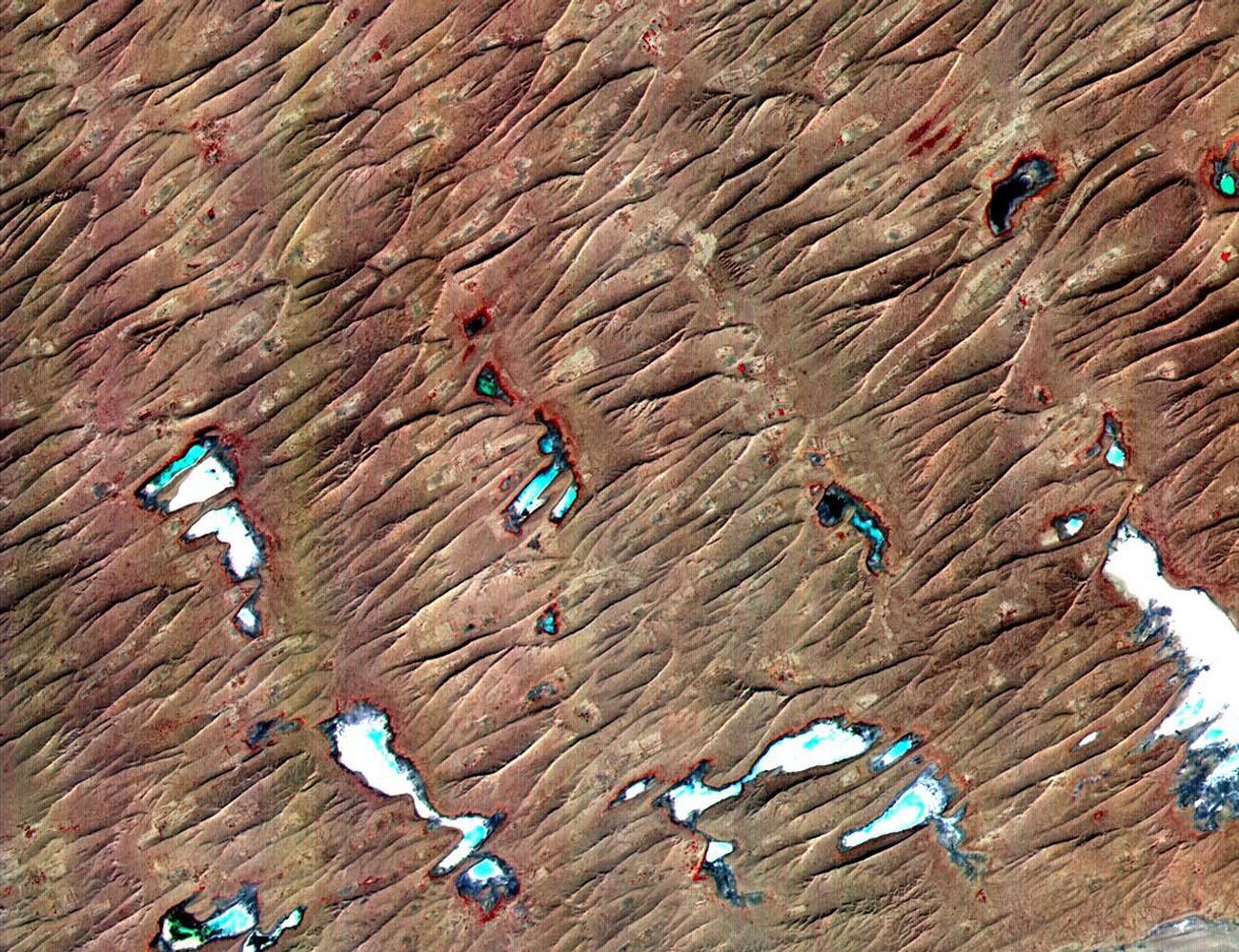 The sand dunes of theThar Desert, located in northwestern India and eastern Pakistan, constantly shift and take on new shapes.