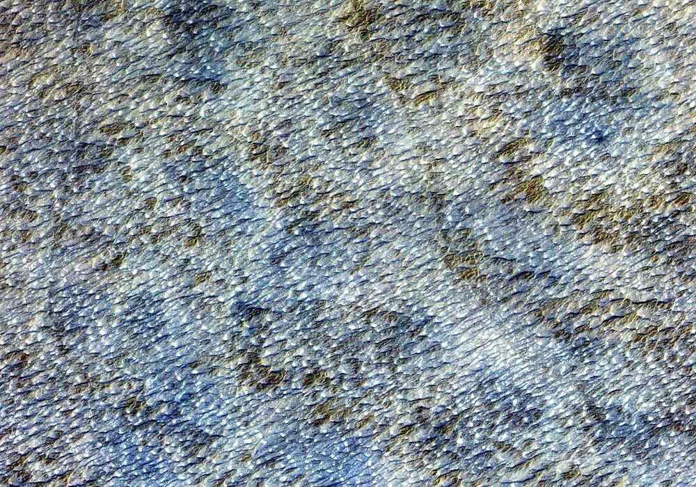 This image shows part of an extensive field of barchan sand dunes south of Kandahar. This image was acquired by NASA's Terra satellite on August 20, 2000.