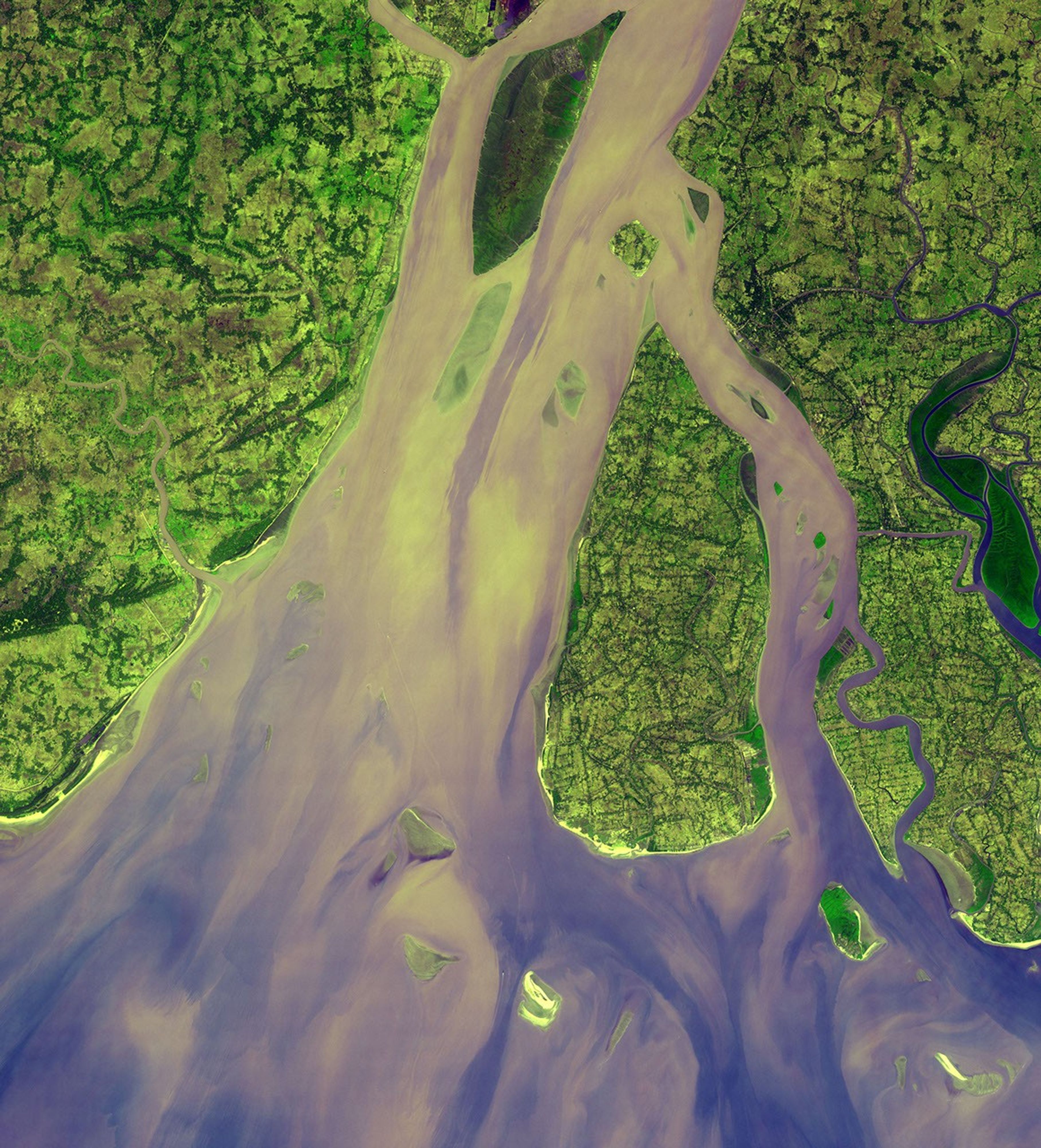The western-most part of the Ganges Delta is seen in this 54.5 by 60 km ASTER sub-scene acquired on January 6, 2005. The Hugli River branches off from the Ganges River.