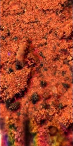 This is the closest view of the material underneath NASA's Phoenix Mars Lander. The soil is mostly composed of fine orange particles, and also contains larger grains, about a tenth of a millimeter in diameter, and of various colors.