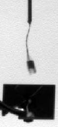 This frame from a series of images shows NASA's Phoenix Mars Lander's telltale instrument waving in the Martian wind. Documenting the telltale's movement helps mission scientists and engineers determine what the wind is like on Mars.
