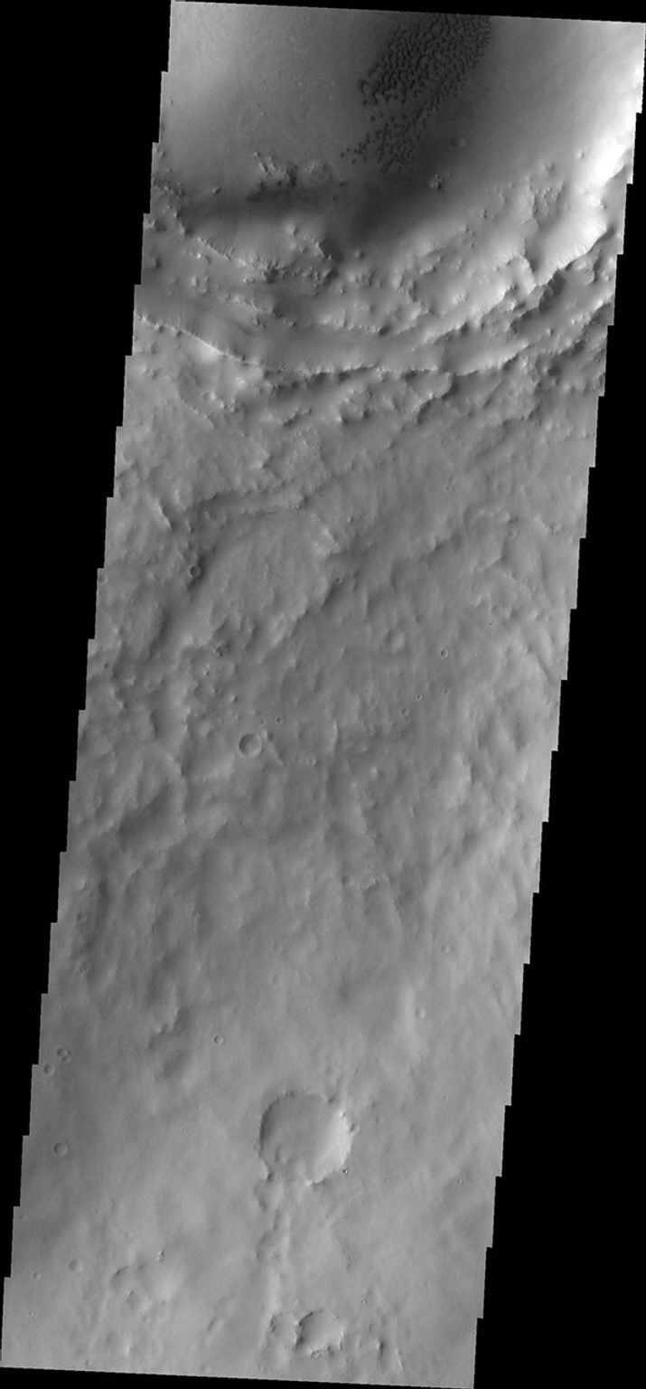 This image from NASA's Mars Odyssey shows a field of dark dunes located in an unnamed crater north of Meridiani Planum on Mars.