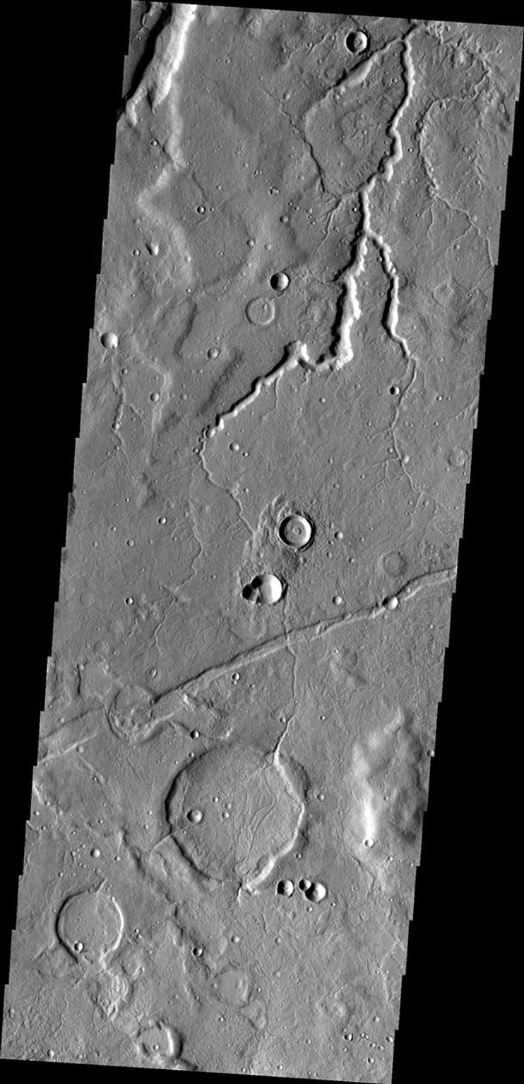 This image from NASA's Mars Odyssey shows a channel in the Tempe Fossae region, just west of Sytinskaya Crater.
