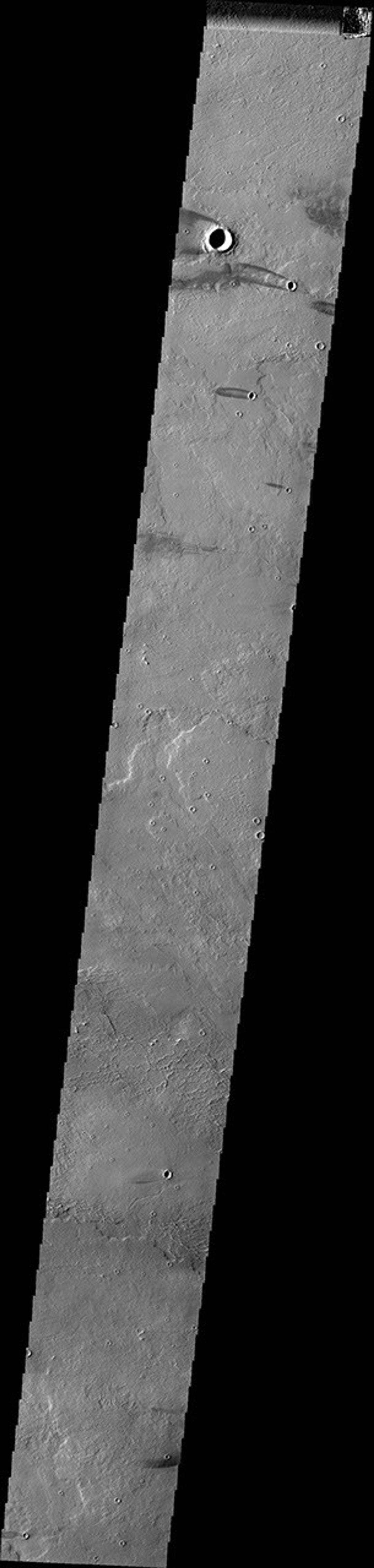 This image from NASA's Mars Odyssey shows Daedalia Planum on Mars, comprised of extensive volcanic flows. Windstreaks have developed in the lee of many craters within the planum.