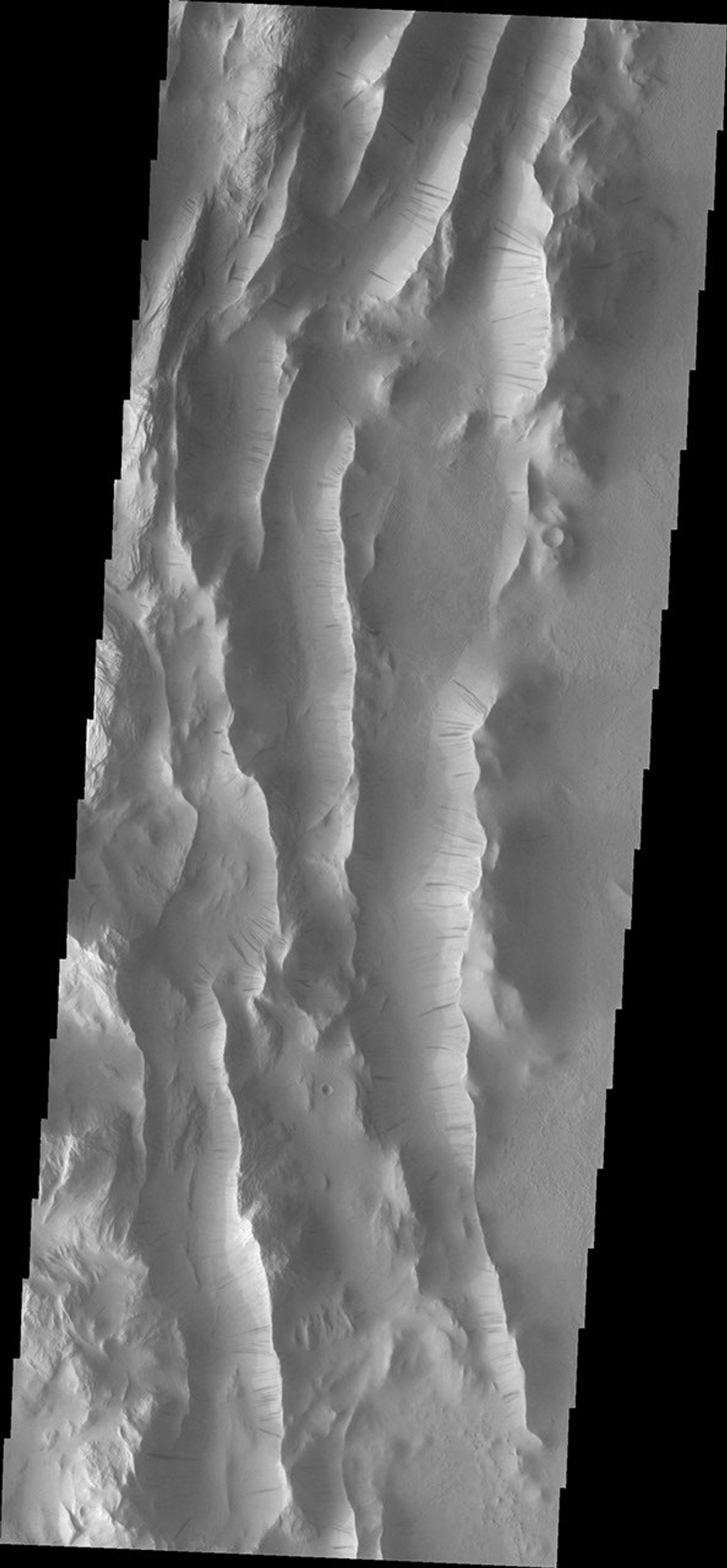 This image from NASA's Mars Odyssey shows a small portion of the Lycus Sulci region that surrounds Olympus Mons on its north and western flanks. The ridges of the Sulci host numerous dark slope streaks.