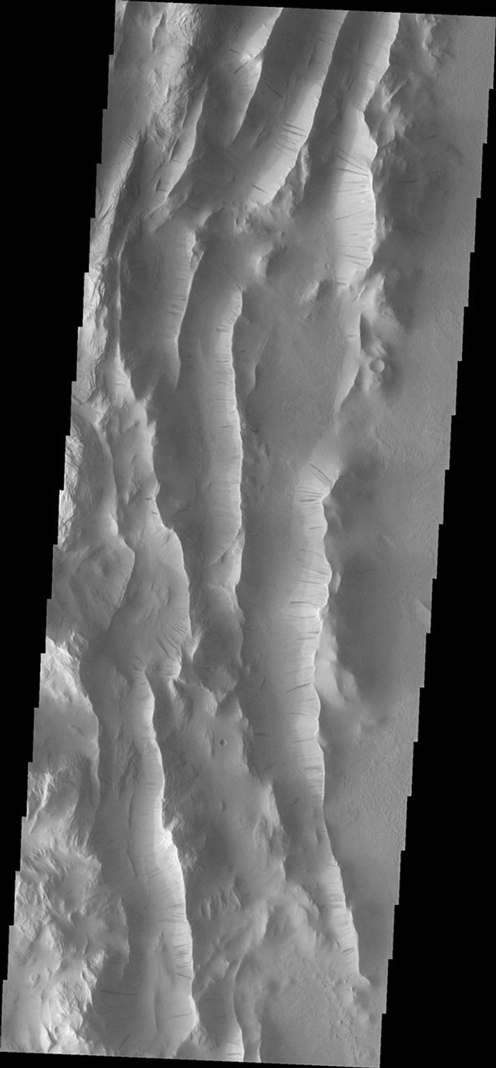 This image from NASA's Mars Odyssey shows a small portion of the Lycus Sulci region that surrounds Olympus Mons on its north and western flanks. The ridges of the Sulci host numerous dark slope streaks.