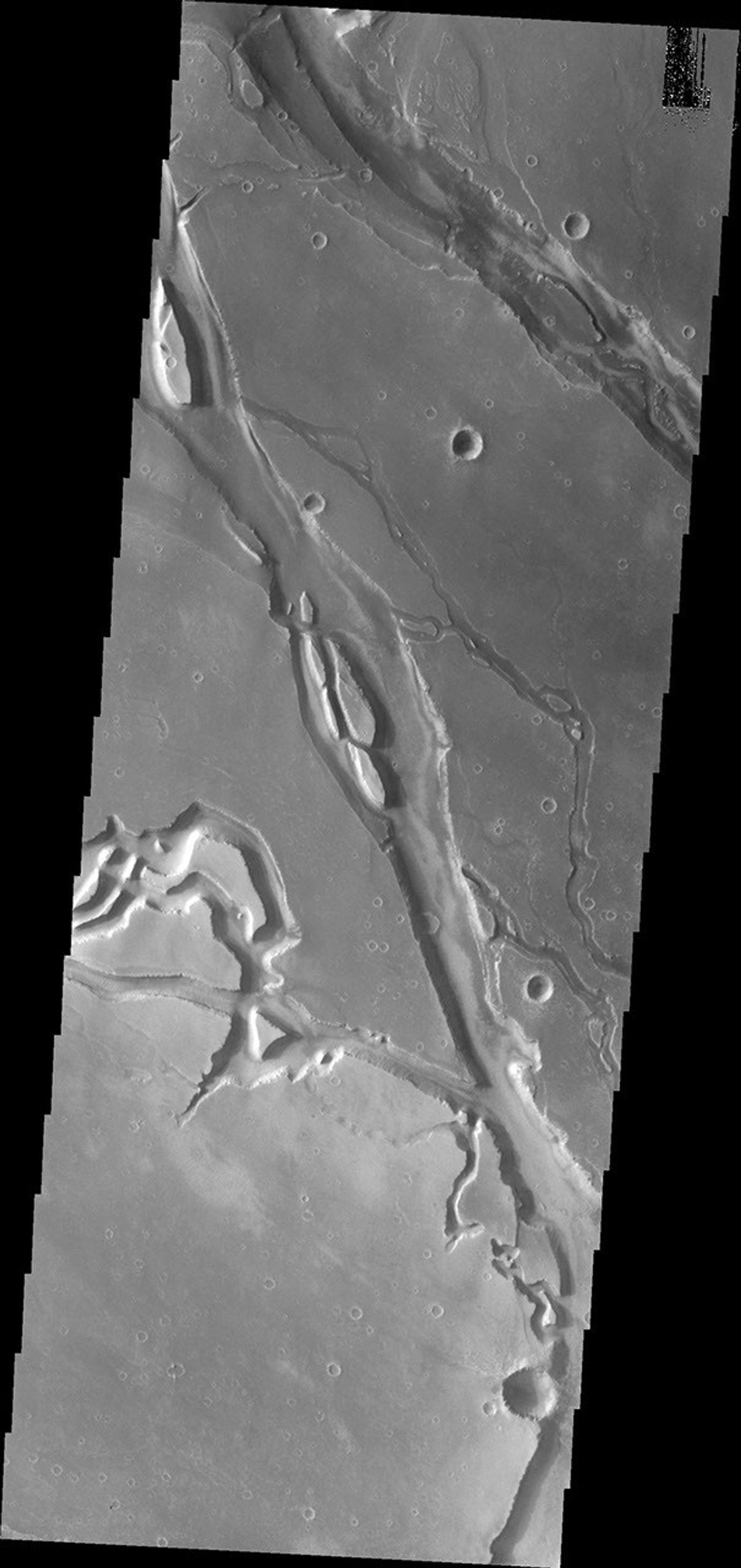 This image from NASA's Mars Odyssey shows the extensive and complex valley system of Ganicus Valles. These are lava channels related to the Elysium Volcanic complex to the east.