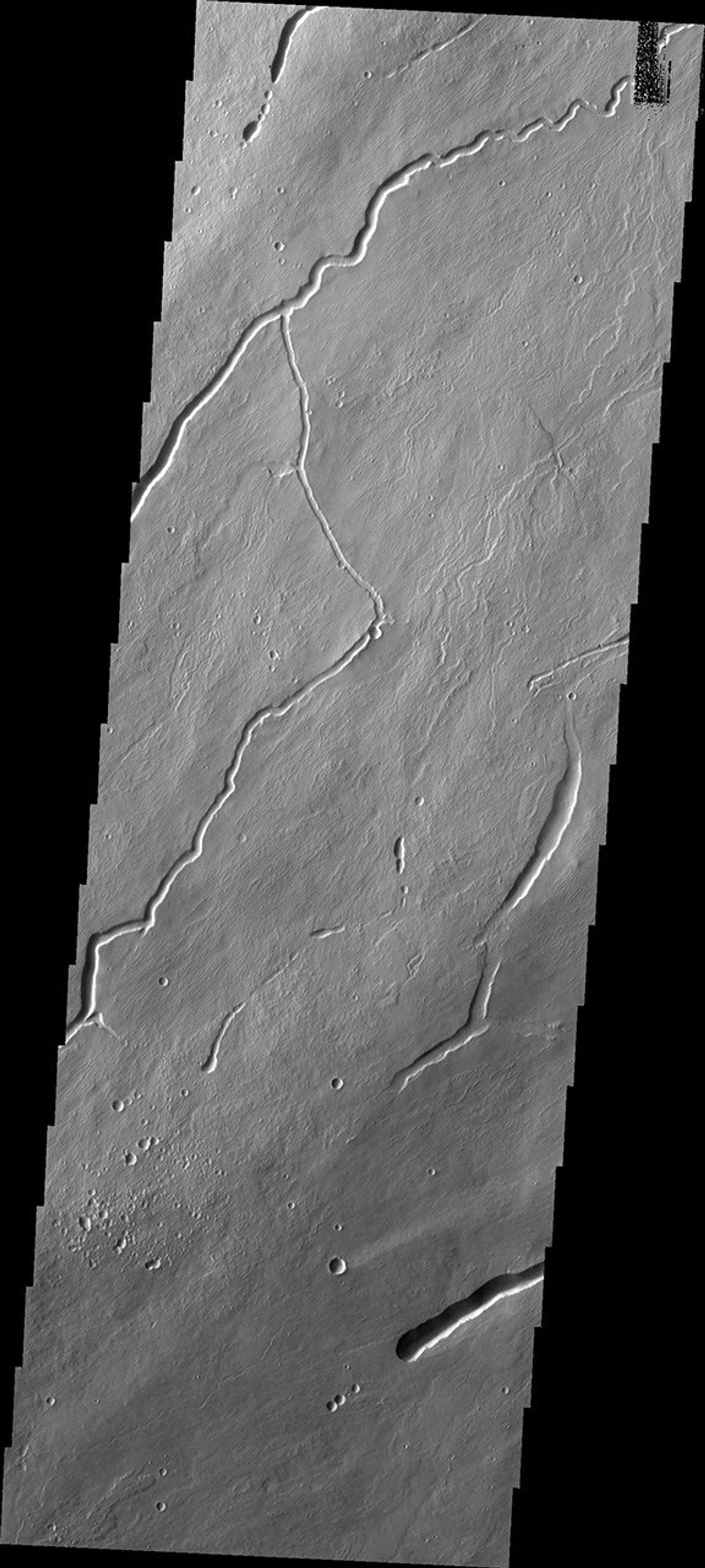 This image from NASA's Mars Odyssey shows part of the northeastern flank of Arsia Mons. Flank flows are extensive in this part of the volcano and the channels and collapse features are all related to volcanic activity.