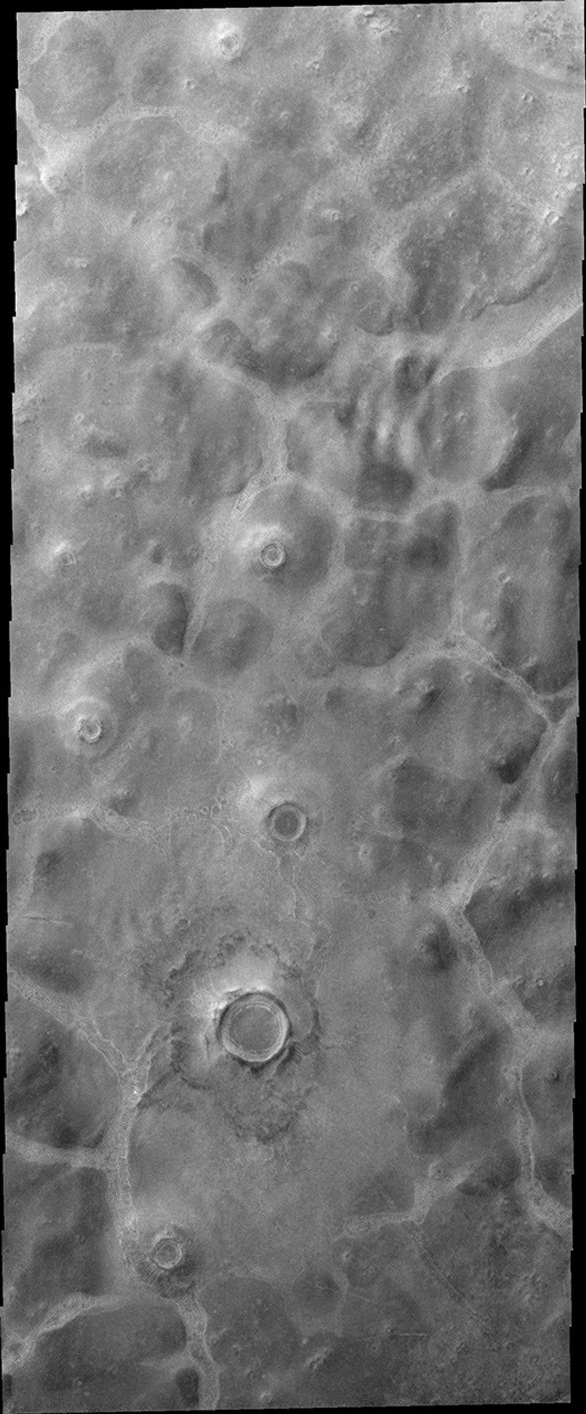 This image from NASA's Mars Odyssey shows the northern plains of Mars containing an abundance of different textures and appearances. This region contains mounds separated by channels with an unusual floor pattern. Just how this texture formed is unknown.