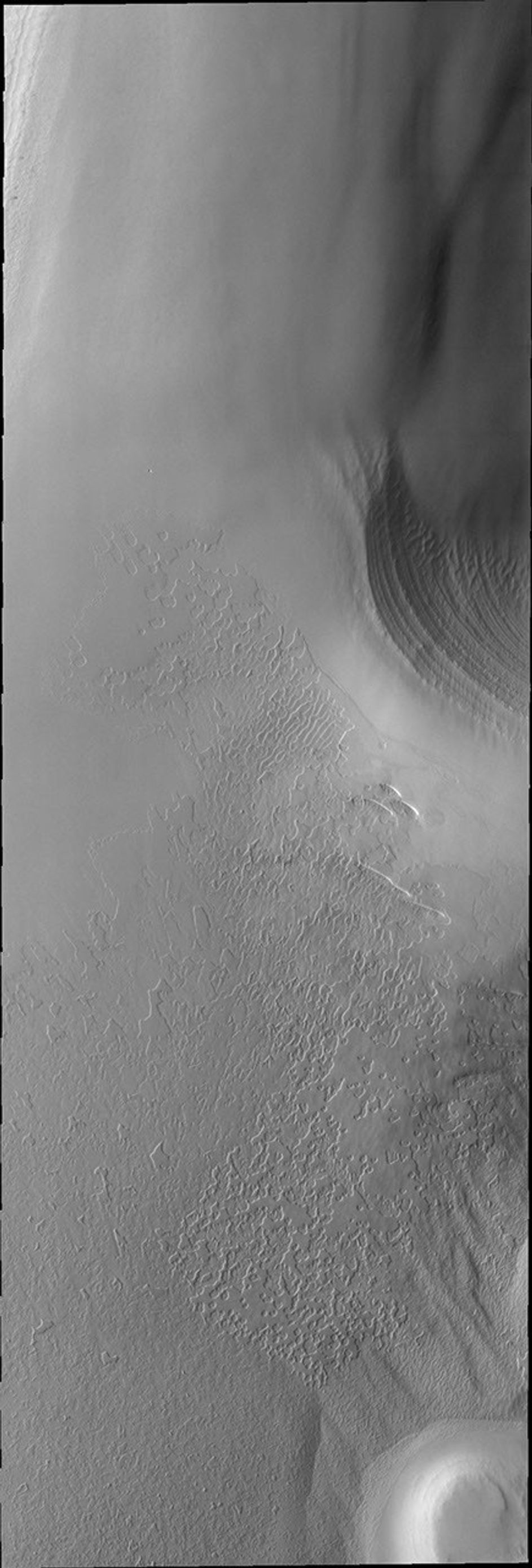 This image from NASA's Mars Odyssey shows some of the layering of Mars' South Polar cap taken during early southern spring.