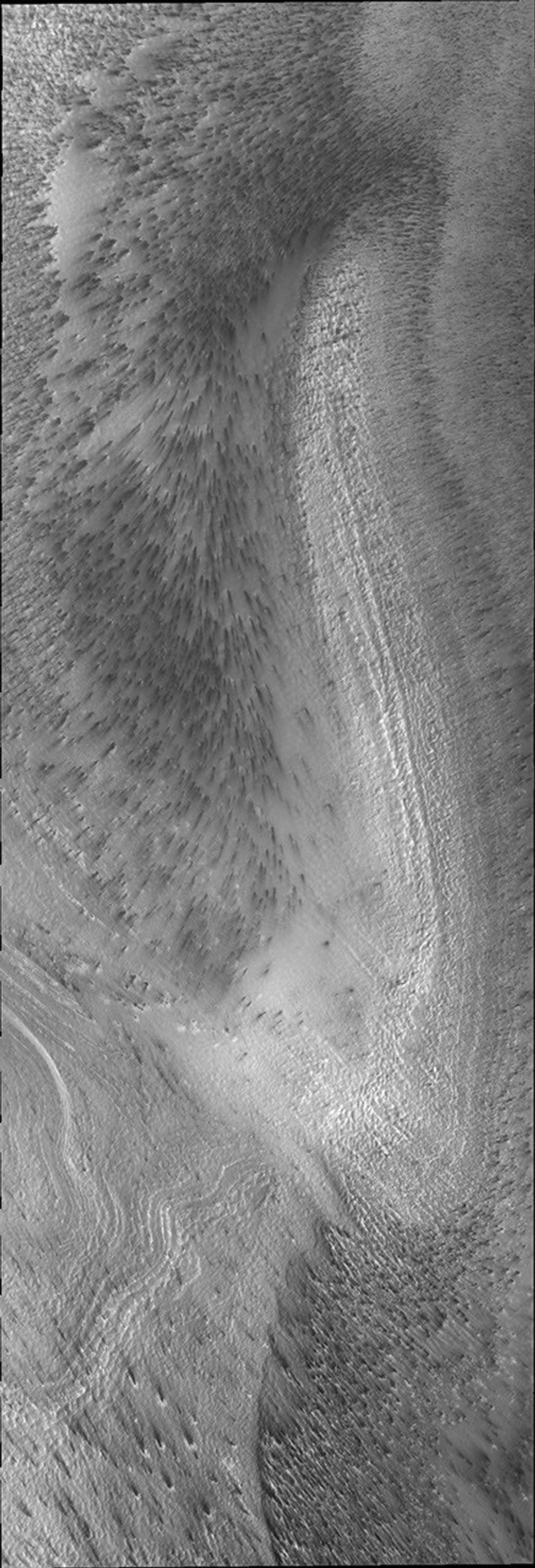 This image from NASA's Mars Odyssey shows Mars' south polar region, where spots appear on the ice. The dark material of the spots is apparently mobile with the wind able to lengthen the spots into streaks.