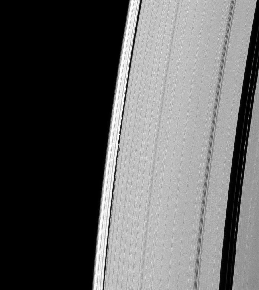 Undulations mark both sides of the path of Saturn's moon Daphnis through the A ring as seen in this image taken by NASA's Cassini spacecraft on Feb. 1, 2009.
