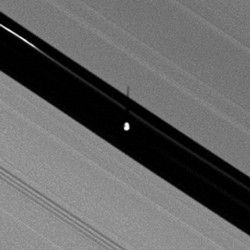 Click on the Image for Figure 1