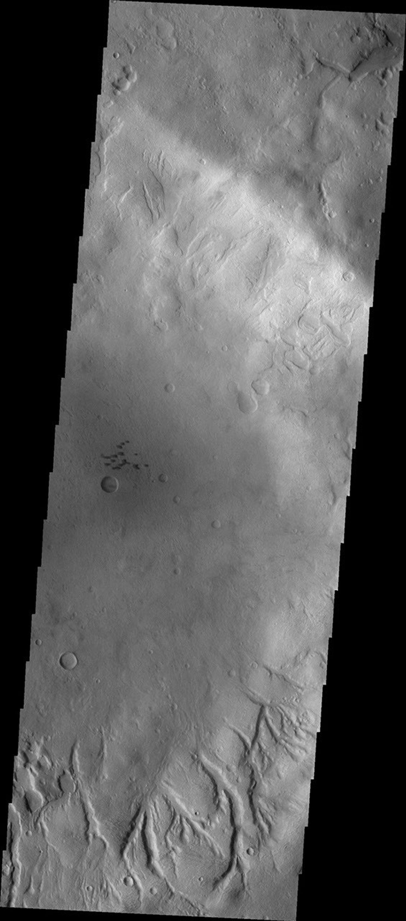 This image from NASA's Mars Odyssey shows numerous channels dissecting the inner rim of this unnamed crater in Noachis Terra. Several small, dark dunes are located in the center of the crater.