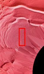 Context image for PIA11882 South Polar Textures