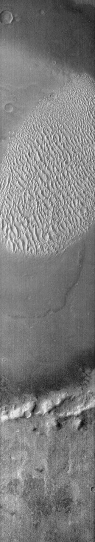 This infrared image of Proctor Crater shows the dune field on the floor of the crater on Mars. The dunes are bright in this daytime image, indicating they are warmer than the surrounding crater materials as seen by NASA's Mars Odyssey spacecraft.