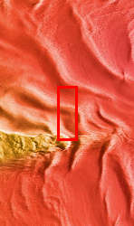 Context image for PIA11902 Polar Layers