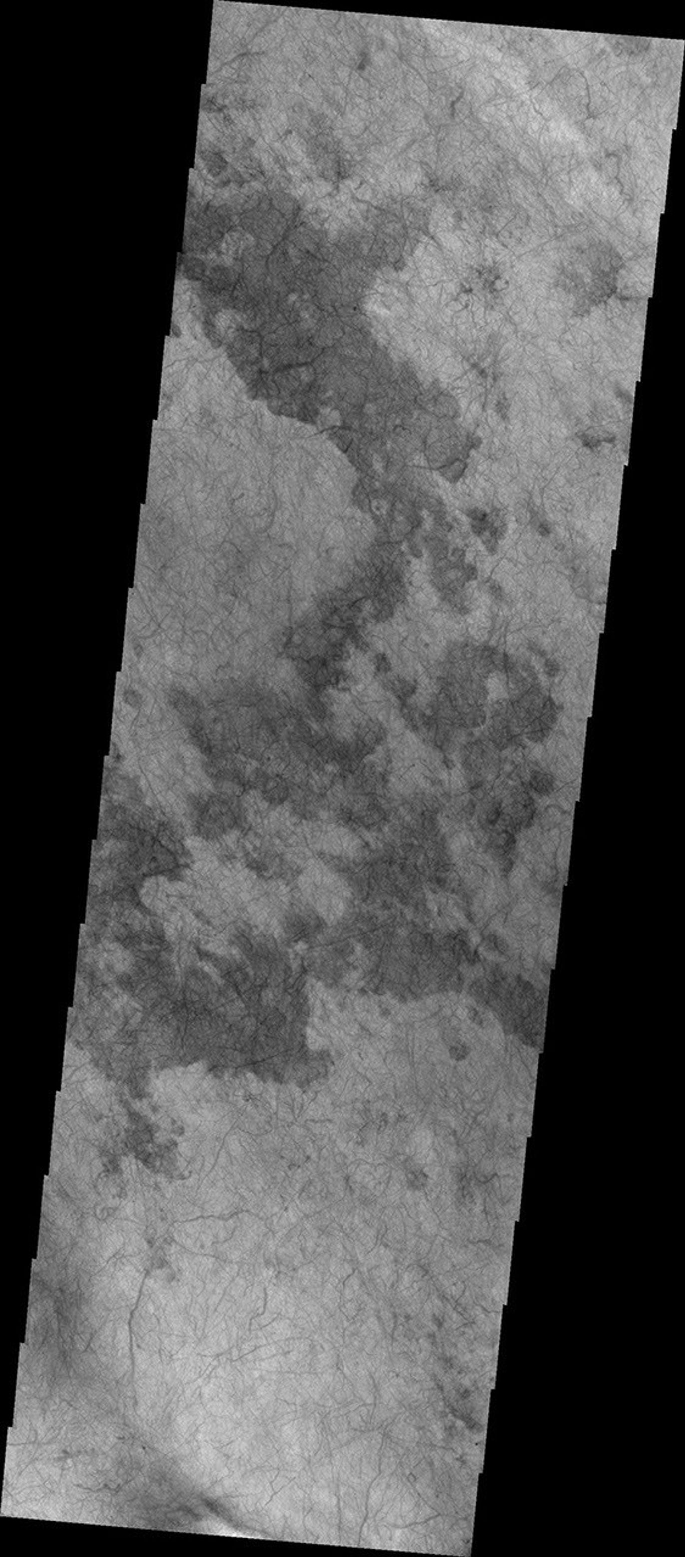 The dust devil tracks in this image are located in Terra Cimmeria on Mars as seen by NASA's Mars Odyssey spacecraft.