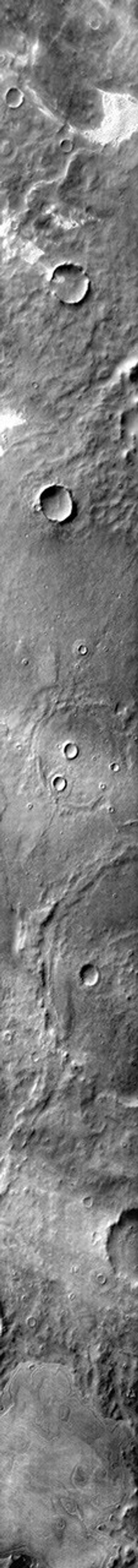 Several areas of dunes are located on the plains of Terra Cimmeria on Mars as seen by NASA's Mars Odyssey spacecraft. The dunes appear bright in the daytime infrared due the warmer temperatures than the surrounding plains.