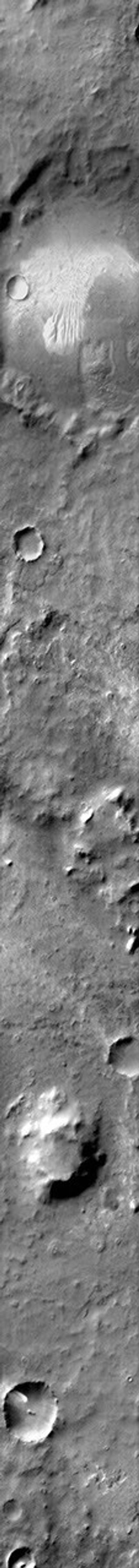 Dunes with several different forms are found on the floor of this unnamed crater in Noachis Terra on Mars as seen by NASA's Mars Odyssey spacecraft.