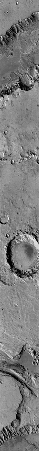 NASA's 2001 Mars Odyssey image shows multiple landslides are visible in this daytime infrared image of Capri Chasma on Mars.