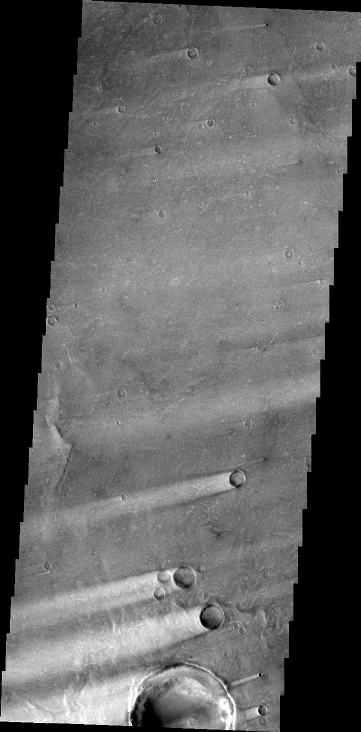 This 2001 Mars Odyssey image shows windstreaks located on the Syrtis Major Volcanic complex on Mars.