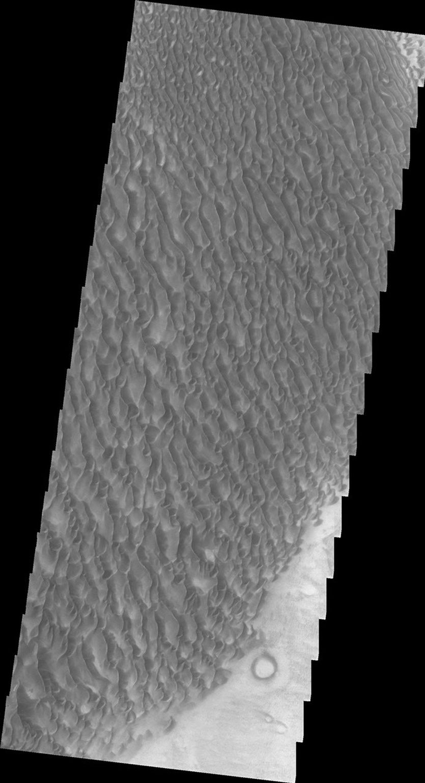 This Mars Odyssey image shows the eastern part of the Proctor Crater dune field on Mars.