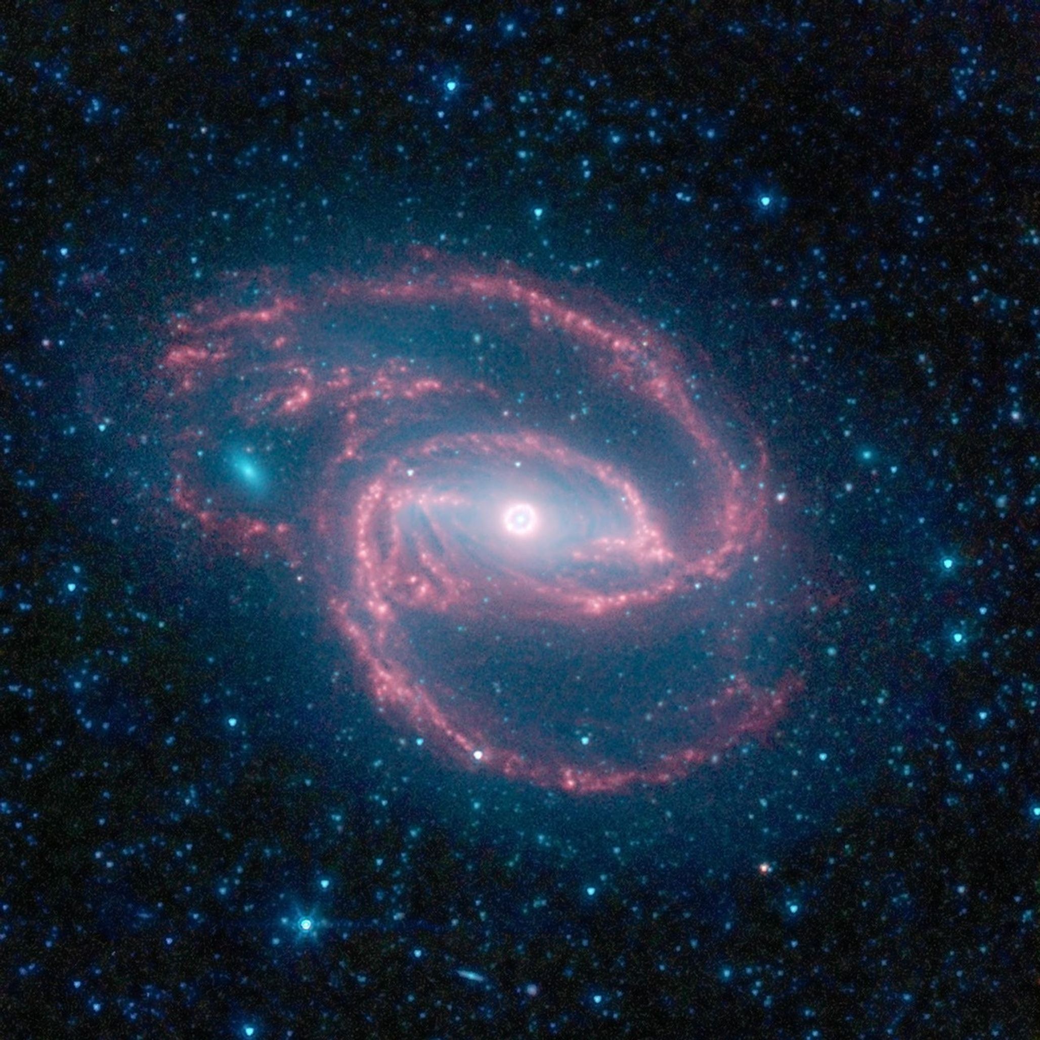 NASA's Spitzer Space Telescope has imaged a wild creature of the dark -- a coiled galaxy with an eye-like object at its center.