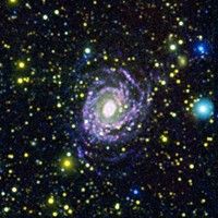 click here for larger view of figure 2 for PIA12175