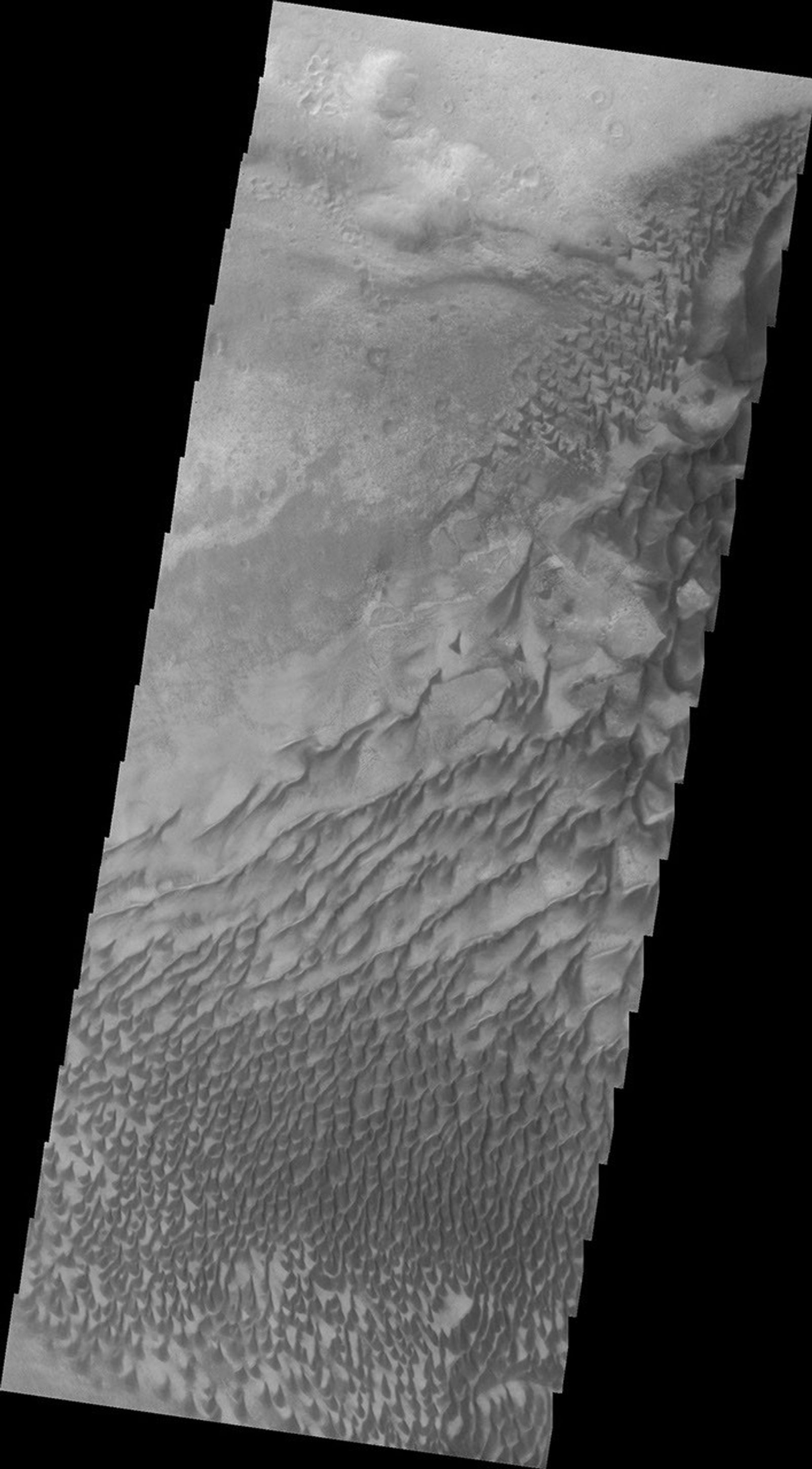 This image from NASA's Mars Odyssey shows a dune field located on the floor of Russell Crater on Mars.