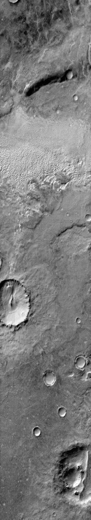 This image from NASA's Mars Odyssey shows a dune field located on the plains east of Douglass Crater in Aonia Terra on Mars.