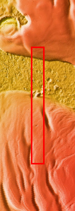 Context image for PIA12247