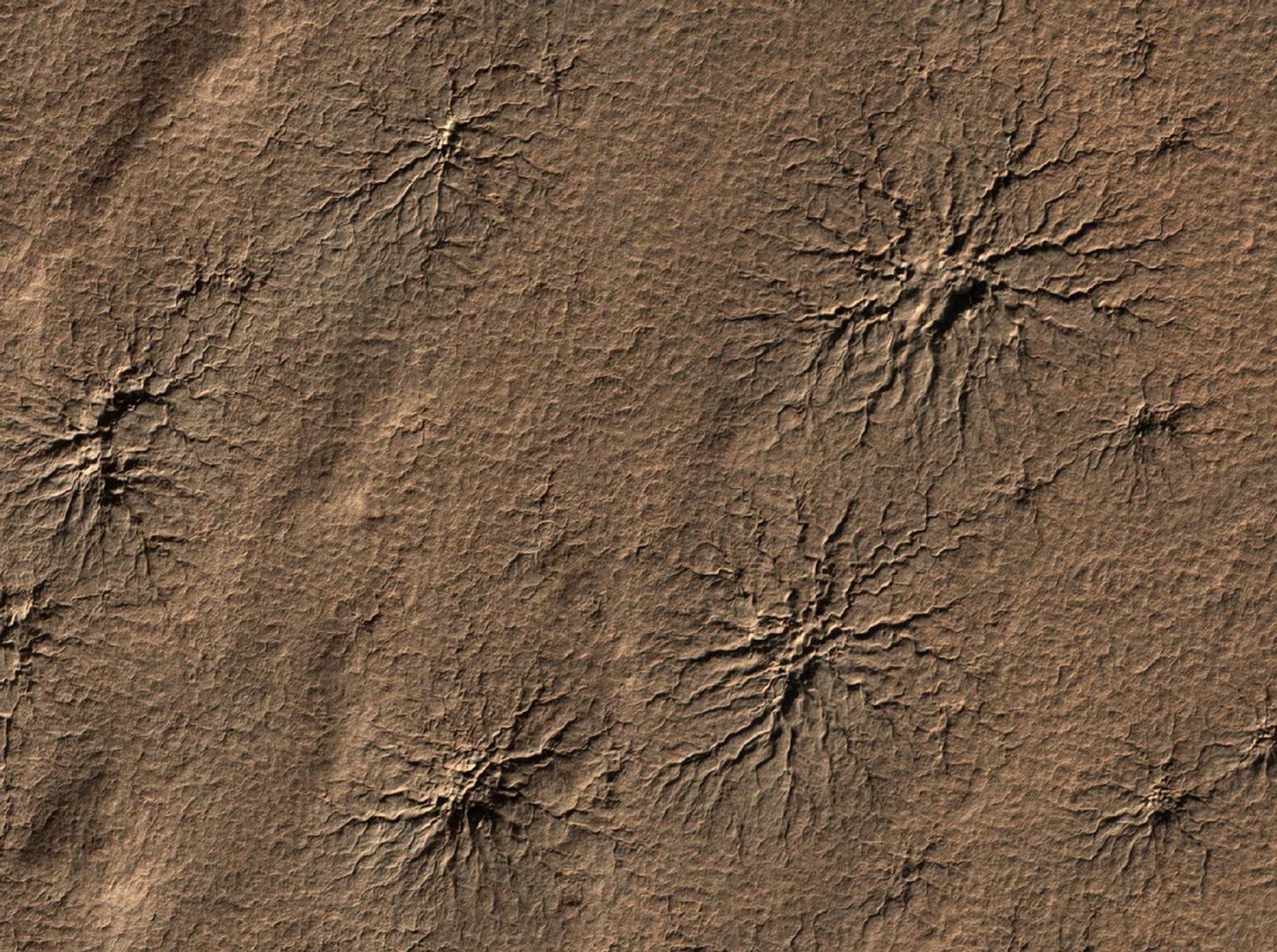 The High Resolution Imaging Science Experiment camera on NASA's Mars Reconnaissance Orbiter captured this image of spider-shaped features on Mars, carved by vaporizing dry ice.