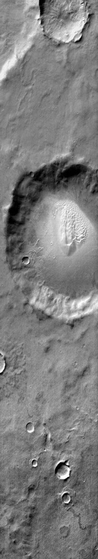 This image from NASA's Mars Odyssey shows a sand sheet with dune forms on the floor of an unnamed crater southeast of Proctor Crater on Mars.